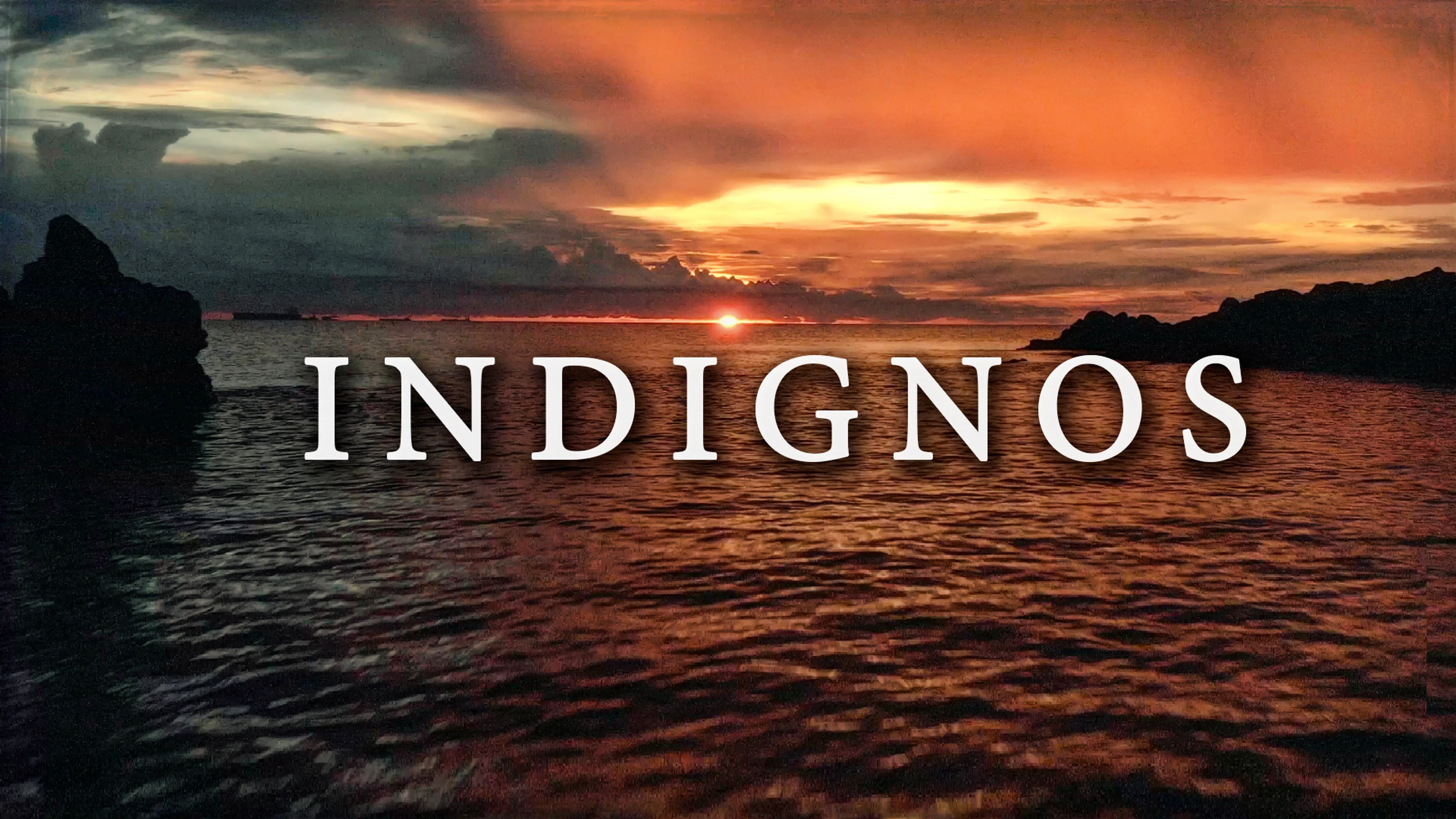 Indignos poster